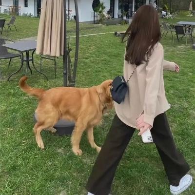 绮梦之旅